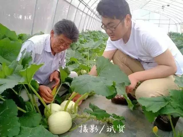 致富新项目零元投资,致富新项目手工活商机