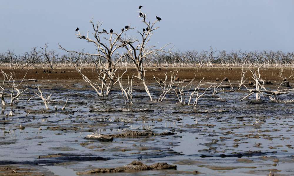 2016年以来天气变化,从气候变化看历史