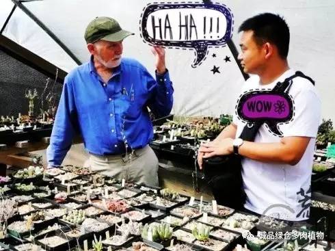 vista观天下春节旅游,vista看天下冰雪大世界