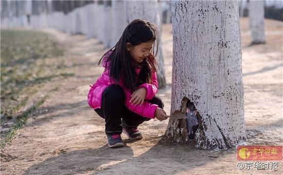 父亲为女儿植皮素材照片,父亲为女儿整容变毁容