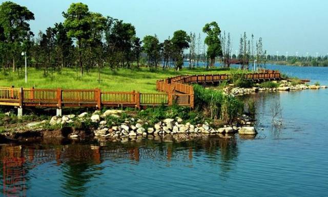 在春天赴一场樱花的约会,在春天去赴一场与花海的约会