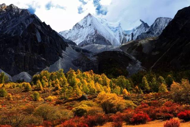 赵雷的歌曲成都在哪里火的,赵雷唱红了成都