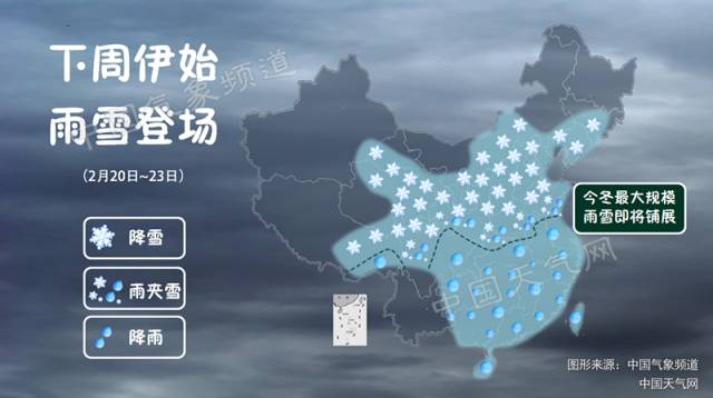 阅天下｜这28种板蓝根千万别碰！会致过敏、腹泻、脑损伤