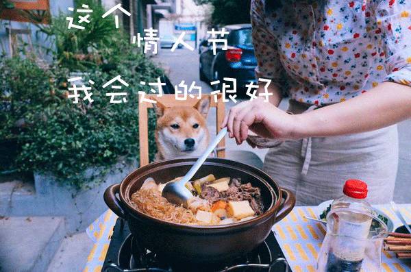 女生需要一个浪漫的情人节,完美的度过情人节