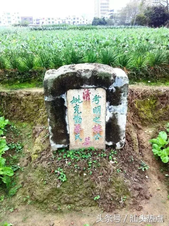 澄海东里东陇村新闻,澄海东里镇古村