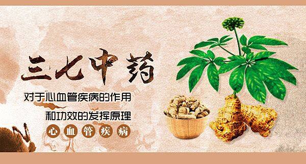 三七的7种正确吃法以前都白吃了,每天吃一勺三七粉有好处没