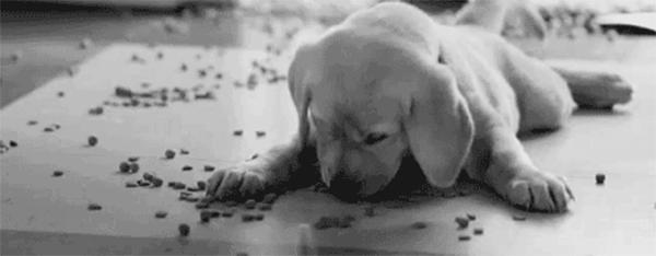 过年上火喝什么汤,过年特别容易上火怎么办