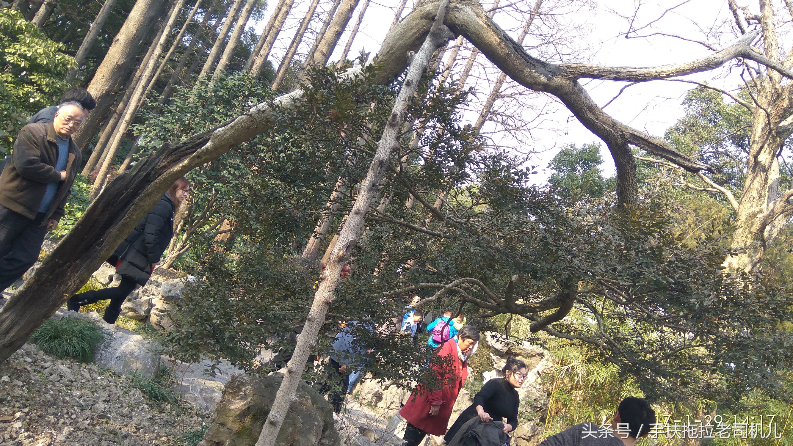 松江醉白池旅游攻略,松江醉白池免费时段