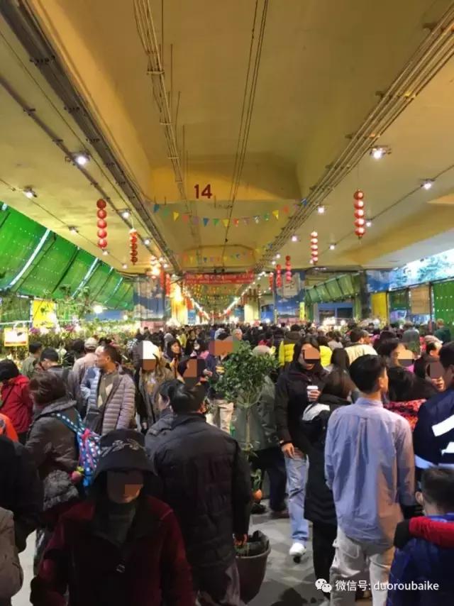 台湾寻肉之旅：小玲带你逛春节的台北花市！