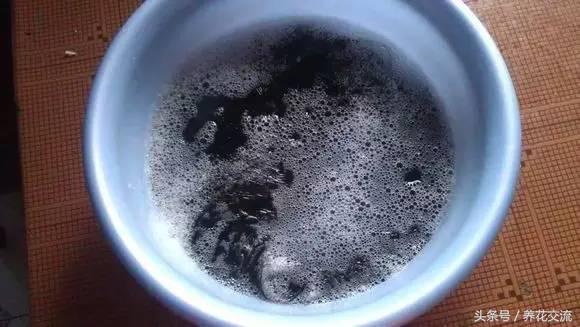 养花肥皂水可灭虫吗,养花杀虫用什么办法好用