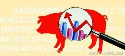 养猪成本今日猪价,2023年猪价还会赚钱吗