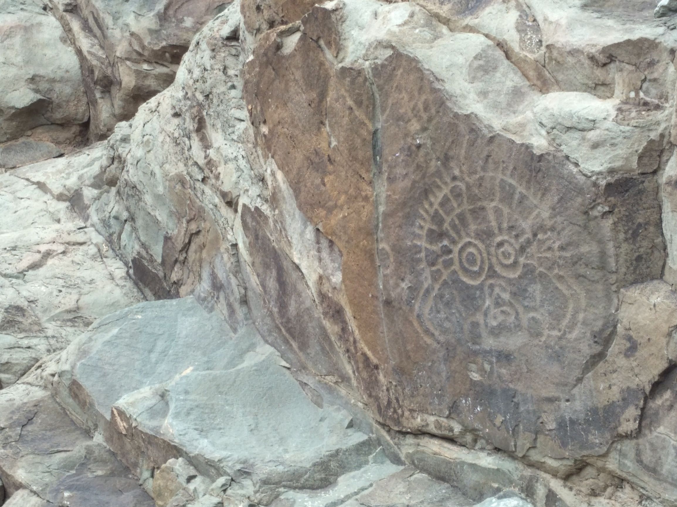 宁夏到陕西的沿途旅游,从宁夏自驾游到重庆多长时间