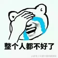 鸡年各月生的人运势,鸡年出生每月的运势