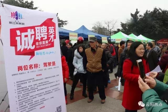 云阳公益性岗位招聘,云阳县2024年人才引进