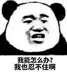 你问题好多怎么回复,你怎么这么多问题表情包