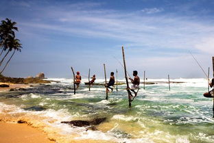 斯里兰卡旅行攻略图,旅游攻略你不知道的