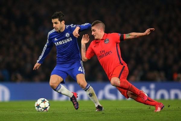 保罗预言世界杯原视频,保罗预测足球