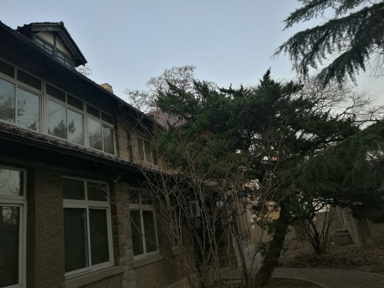 追寻历史遗迹感受文化魅力,八七疗养院历史遗迹