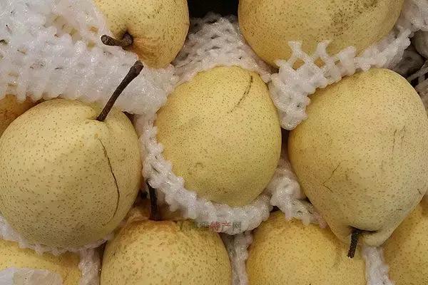 兰州特产必买十种便于送人携带,兰州特产美食排行榜前十名