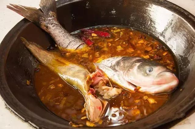 2017称霸长春的8只鸡，你见识过多少只？