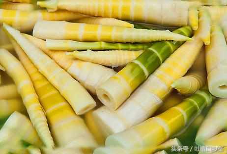 金佛山直接吃的方竹笋,金佛山方竹笋南川的专属味道