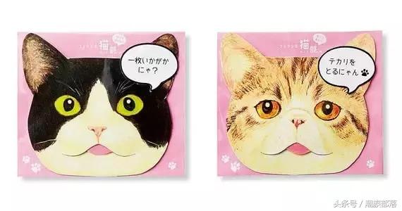 猫控营养补充剂,猫控