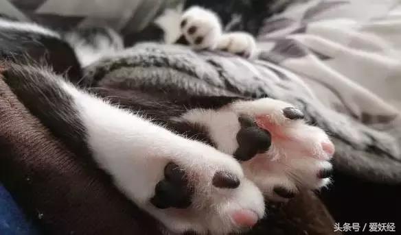 足部养生手法,足部保健有哪些问题