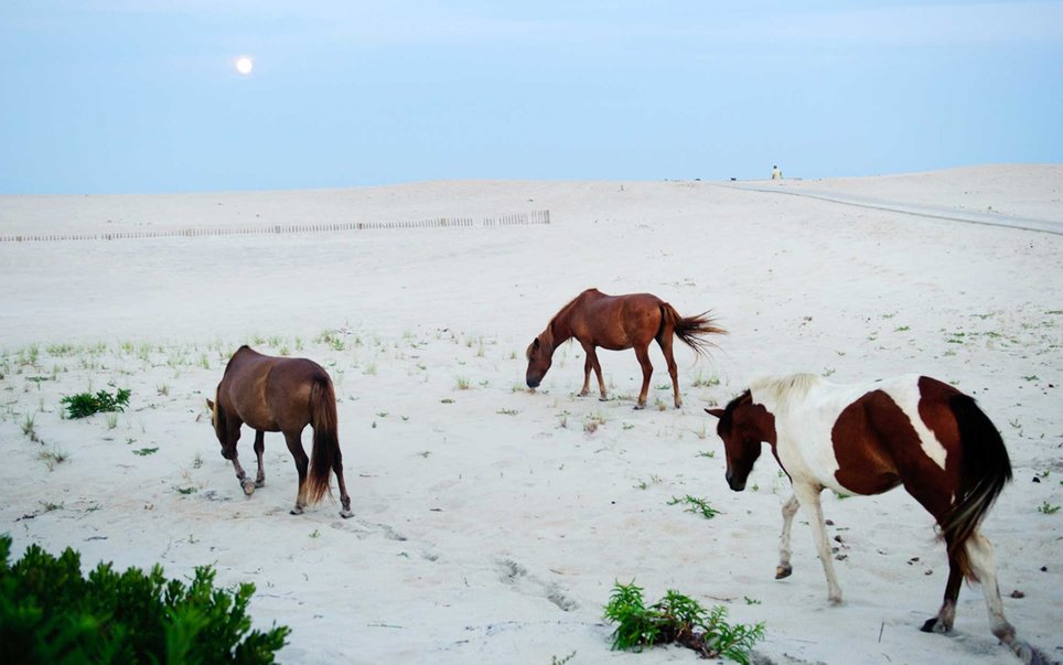 美国最漂亮的公园是哪里,大峡谷国家公园美国