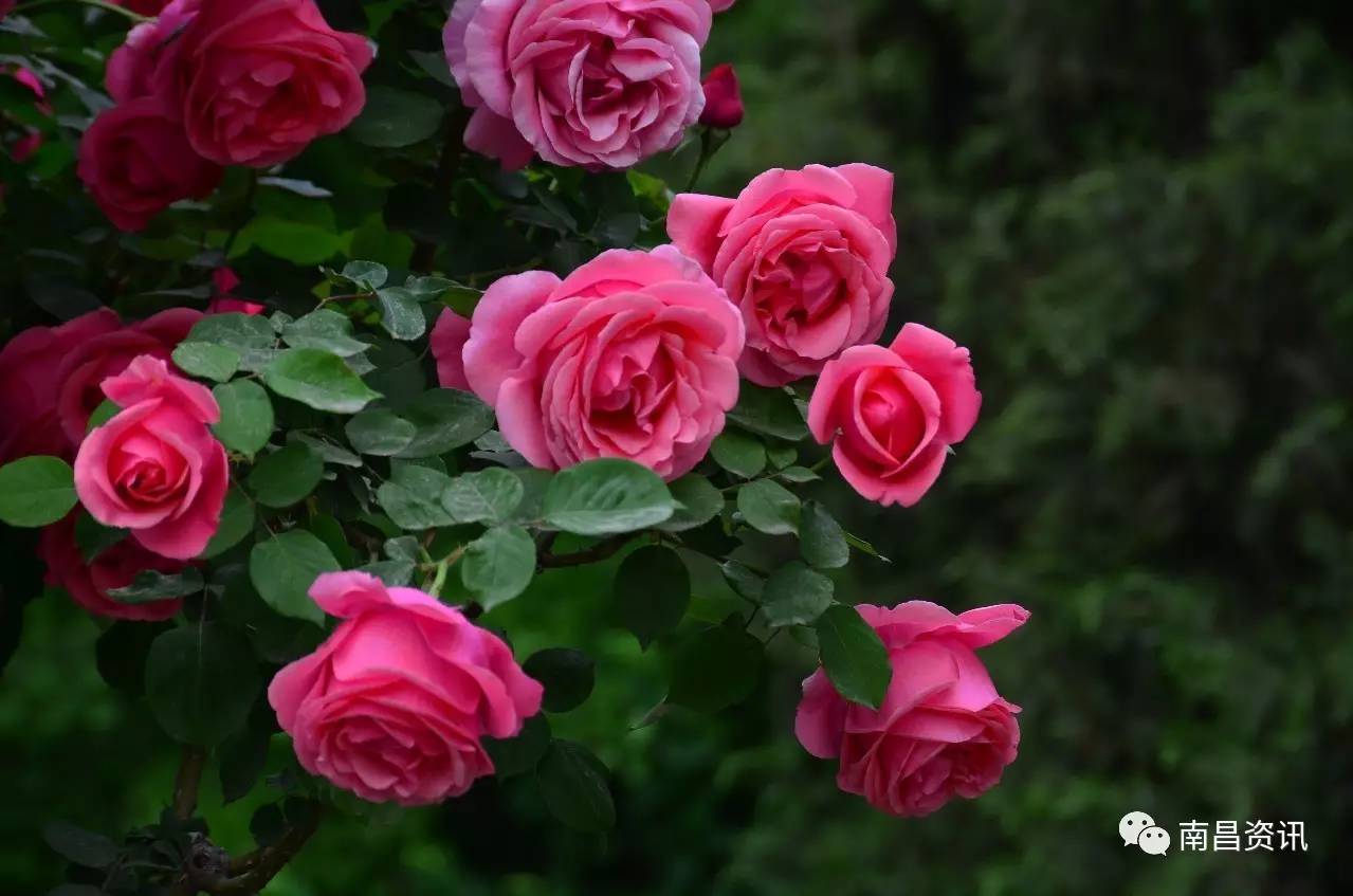 南昌出发最便宜的飞机票,南昌出发到哪里的机票最便宜