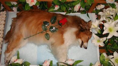 告诉你一个闷声发大财的冷门项目,利润很吓人10个冷门项目