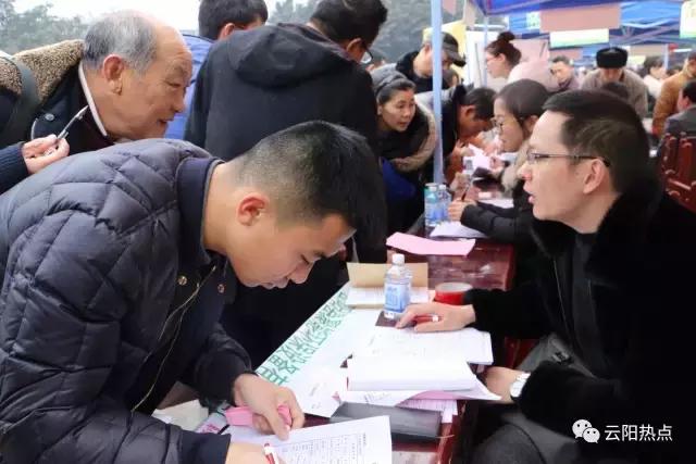 云阳公益性岗位招聘,云阳县2024年人才引进