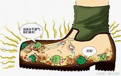 泡脚治脚气,脚气怎么治