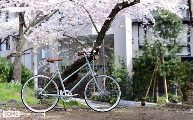 有品味的单车,便宜又好骑的自行车推荐