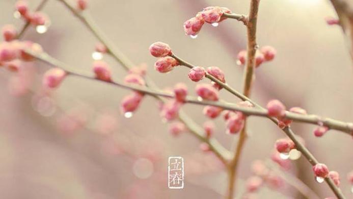 阴阳调和对身体的重要性,练什么功可以调节体内阴阳