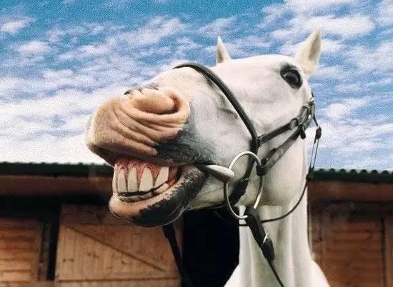 唐顿国际实习生招聘,唐顿国际就业