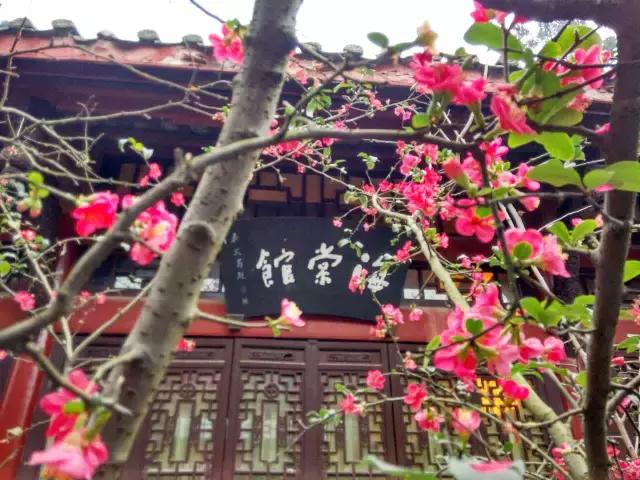 鑺辨捣閲嶇鏉ヨ,鑺辨捣鏉ヨ