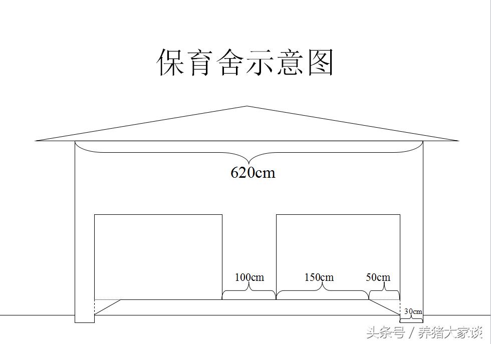 现代养猪的简易猪舍建造,自繁自养猪舍建设