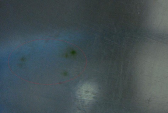 纯净水桶生青苔怎么回事,纯净水桶里长青苔了怎么办