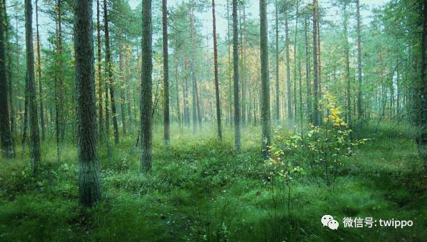 不用香水的女人没有未来英文,不用香水的女人身上有香味
