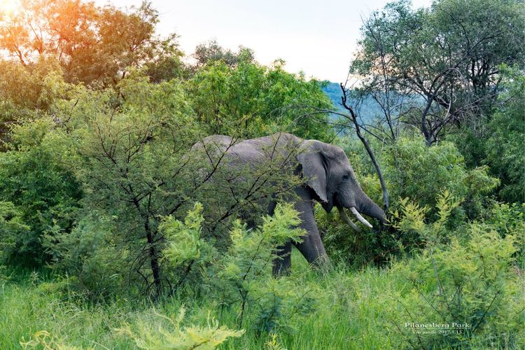 走进彩虹之国感受南非独特之美,彩虹之国南非