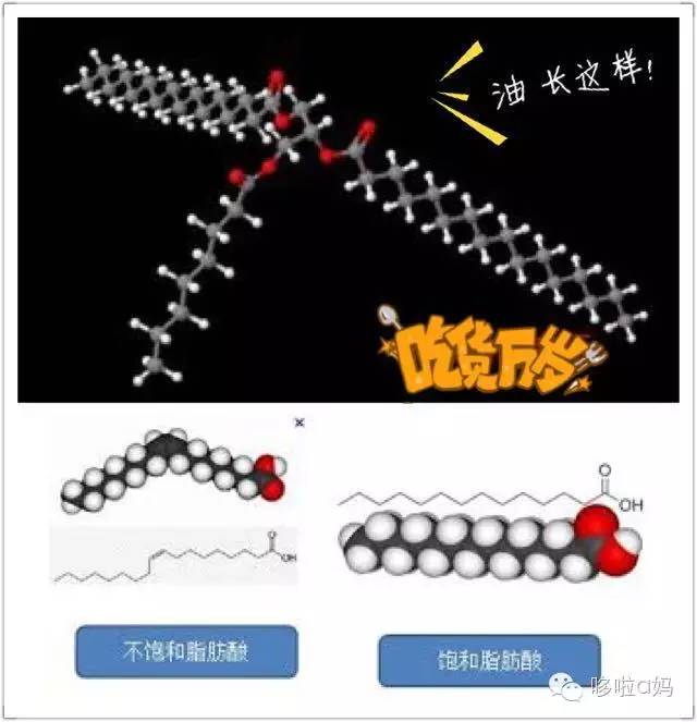 全家老小一起补充营养,全家人的营养补充
