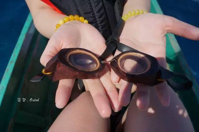 除了鲸鲨，这里还有复活节和GinginLuna的故事