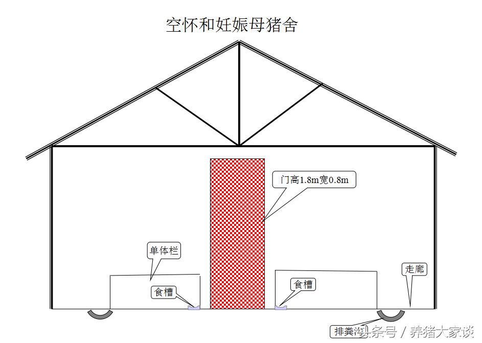 现代养猪的简易猪舍建造,自繁自养猪舍建设