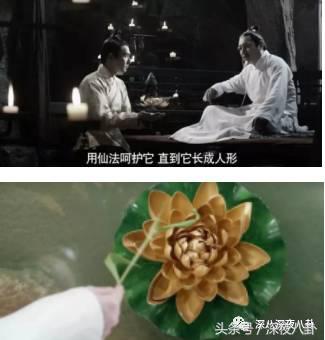 杨幂面对黑粉大气语录,杨幂自黑代表什么