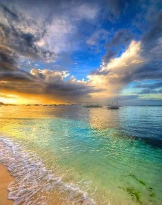 除了鲸鱼海豚还有哪些哺乳动物,除了鲸鲨还有什么鱼比较大