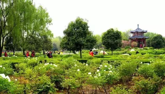 2022洛阳门票免费的景区,洛阳小浪底景区门票免费吗