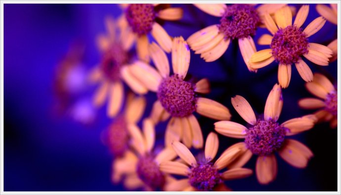 卡尔蔡司经典的50mmf1.4,卡尔蔡司镜片1.56和1.67