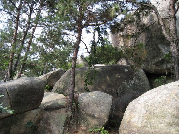 厦门慢生活惬意悠哉,厦门悠闲一日游