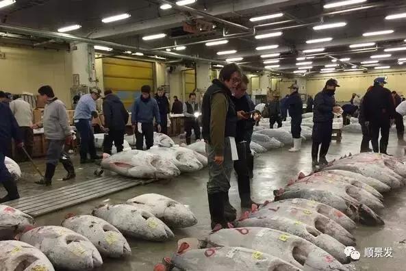 全球十大海鲜市场排名,全球大型海鲜批发市场