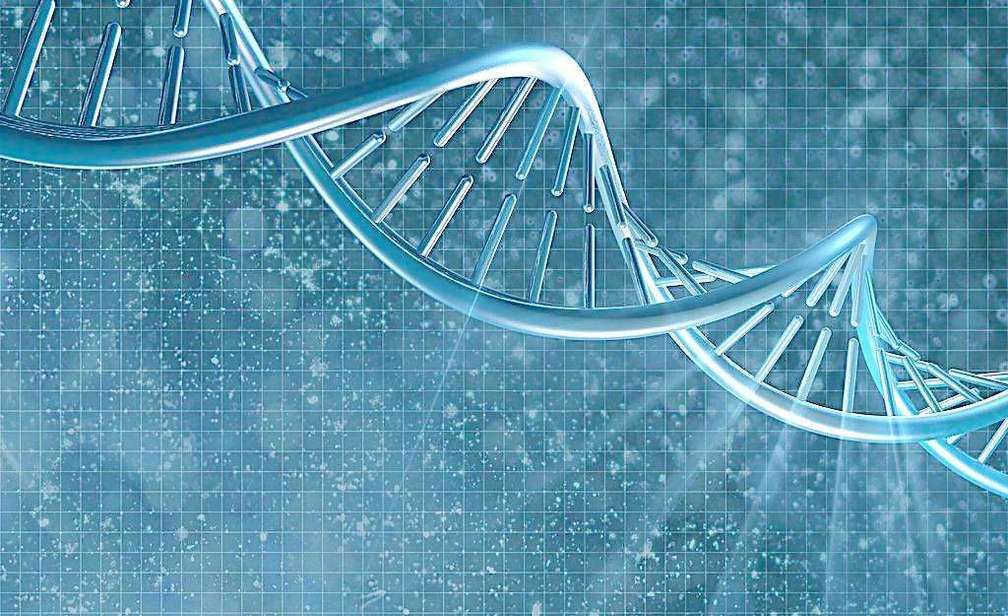 怎么看乙肝病毒检测报告,乙肝检测报告怎么看病毒数量